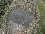 image of grave number 677384